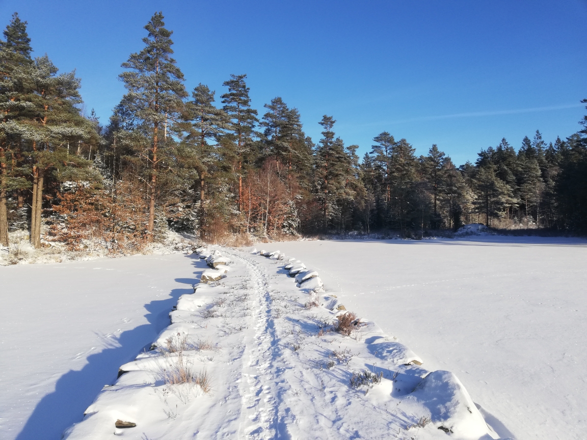 Har du hittat din väg till hälsa?
